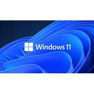 windows 11